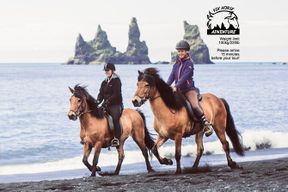 Balade à cheval sur la plage noire à Vik