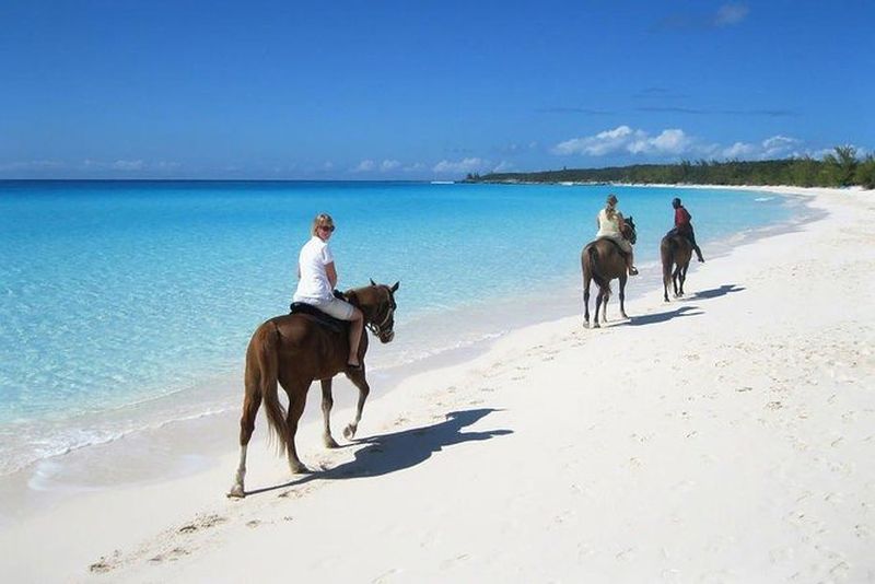 Balade à cheval sur la plage de Macao depuis Punta Cana