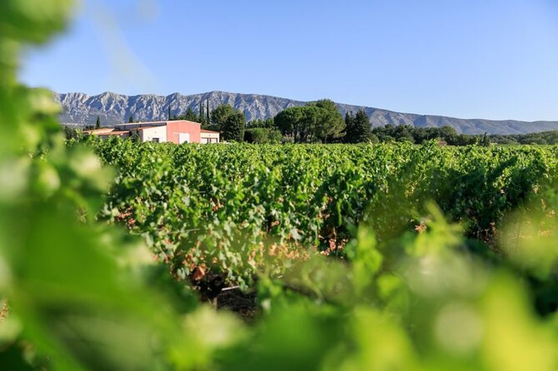 Tour du vin au Mont Sainte-Victoire depuis Aix-en-Provence