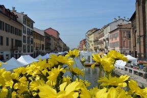 Visite guidée du quartier Navigli à Milan
