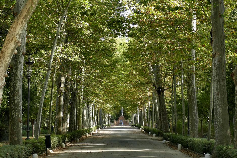 Visite du parc de María Luisa et de la Place d'Espagne à Séville