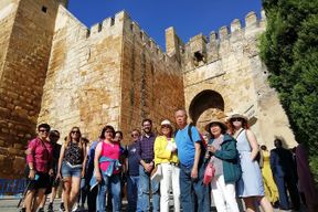 Excursion à Carmona depuis Séville