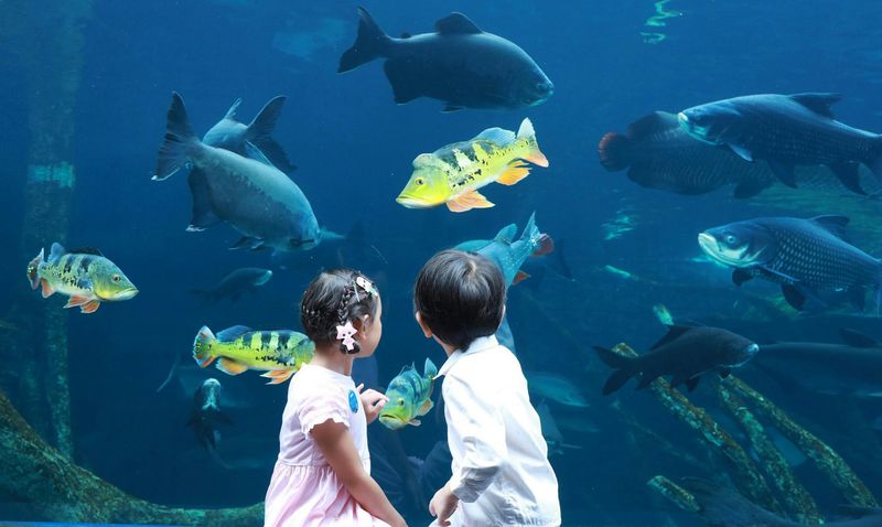 Billets pour Aquaria Phuket