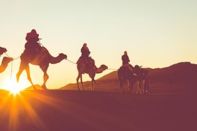 Balade à dos de chameau dans le désert de Douz