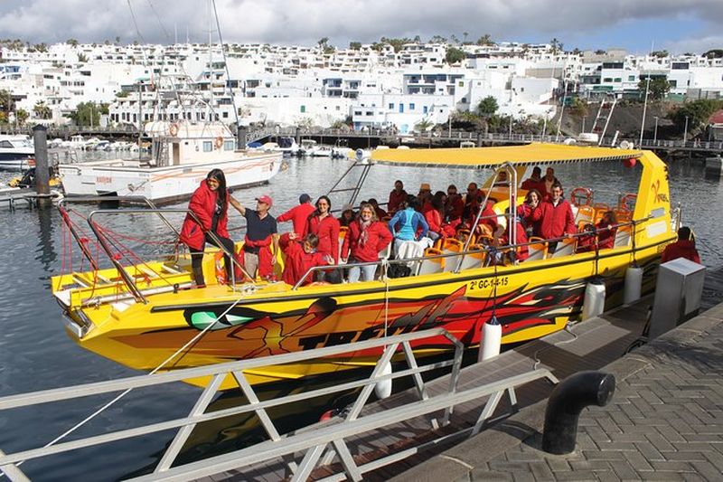 Excursion d'observation des dauphins à Lanzarote