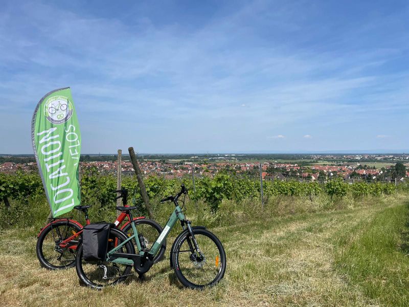 Location de vélos chez Les Balades Alsaciennes