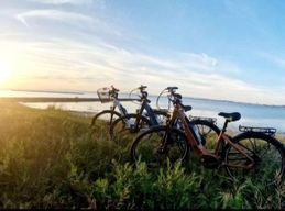 Location de vélos chez Mama Bike