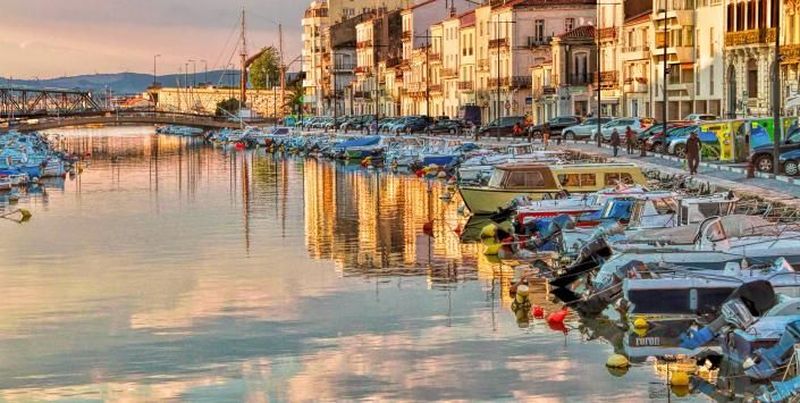 Location de vélos chez Véloc'Sud Location Le Castellas