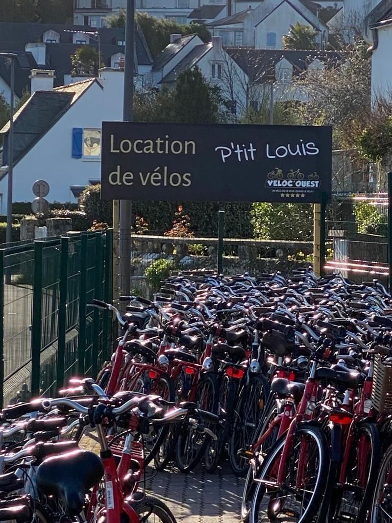 Location de vélos chez Ile aux Moines P'tit Louis
