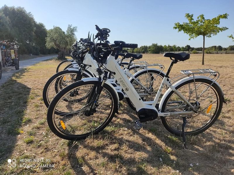 Location de vélos chez BIKE SERVICE 26