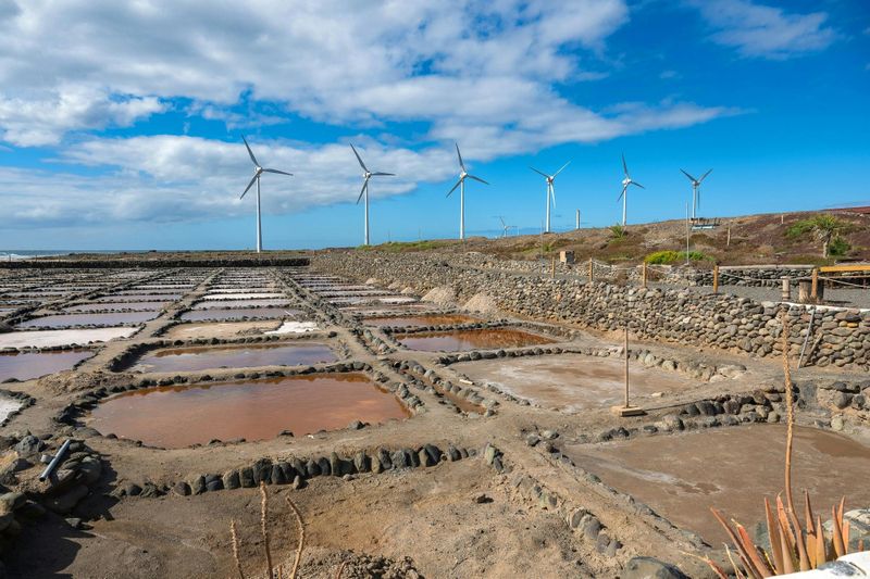 Visite gastronomique, distillerie et repas local, Gran Canaria