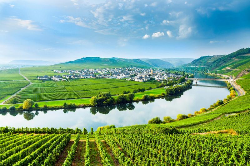 Excursion d'une journée en Moselle luxembourgeoise avec dégustation de vins et promenade en bateau