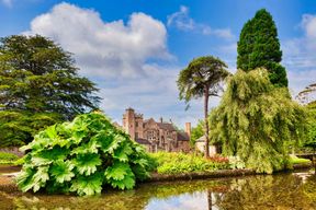 Circuit à travers les collines de Mendip et les gorges de Cheddar au départ de Bath