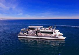 Excursion en catamaran sur les plages de Malvarrosa et de Patacona avec boisson