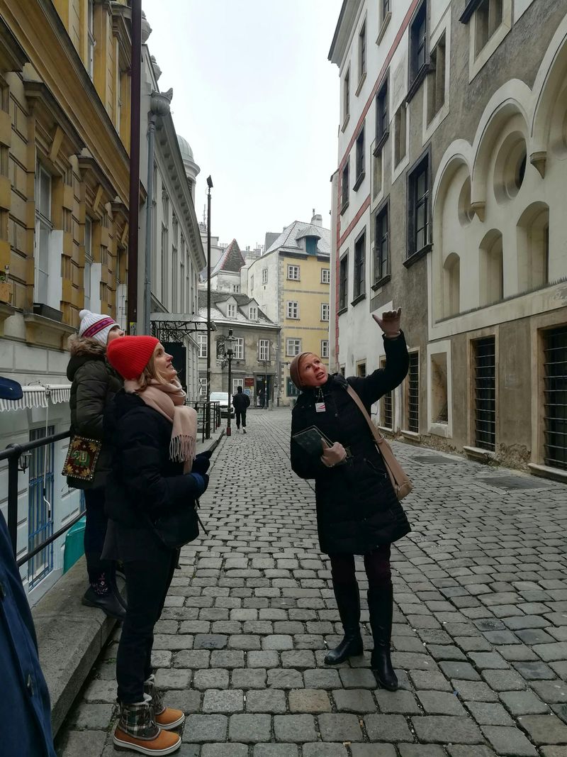 Vienne, la ville aux multiples passés : visite guidée de la ville avec un historien