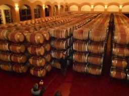 Tour des vins d'Ávila et de Rueda depuis Madrid