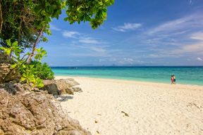 Excursion d'une journée en hors-bord dans l'archipel de Phi Phi et dans les 4 îles de Krabi