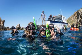 Excursion guidée de plongée en apnée dans la réserve marine des îles Medes