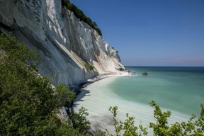 Excursion d'une journée complète à Møns Klint et à la tour de la forêt au départ de Copenhague