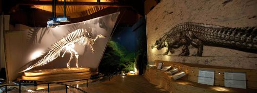 Billets d'entrée au Musée d'histoire naturelle de Venise