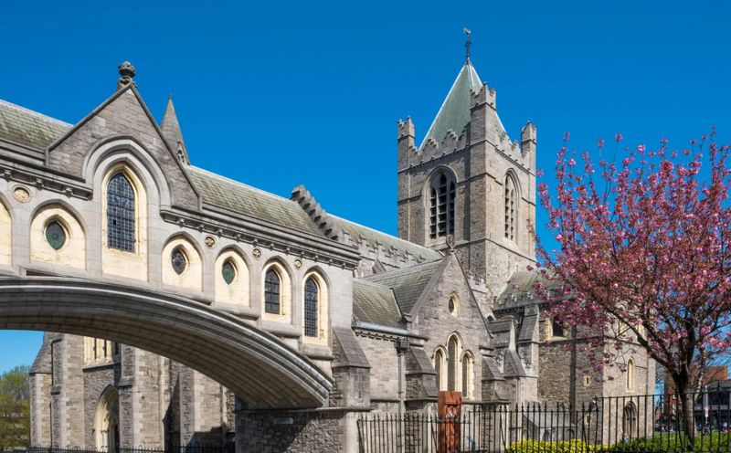Billet d'entrée et visite autoguidée de la cathédrale Christ Church de Dublin
