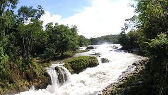Visite guidée des cascades de Las Nubes et de Comitán Tuxtla Gutiérrez ou San Cristóbal de las Casas
