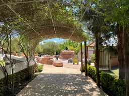 Par animalier Lloc de Menorca avec temps libre à la plage de Son Bou