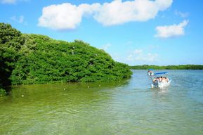 Excursion avec balade en bateau à Sian Ka'an