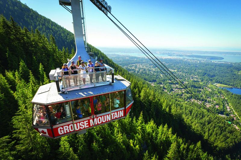 Visite de North Shore Mountain avec le pont suspendu de Capilano