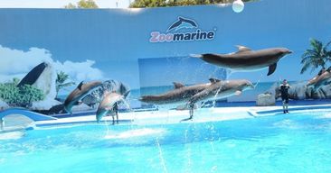 Excursion privée Zoomarine au départ de Lisbonne avec billets d'entrée