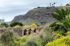 Sites & Saveurs : Jardin botanique de Gran Canaria et fruits frais