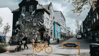 Visite à pied du street art à Reykjavik