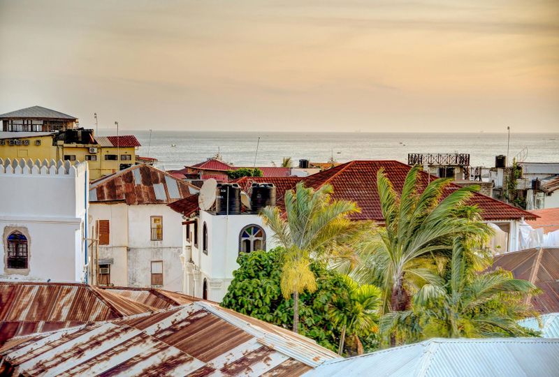 Visite privée de Stone Town et du musée Freddy Mercury depuis le Mora Zanzibar