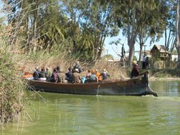 Valence : visite du parc naturel de l'Albufera avec promenade en bateau et bus panoramique