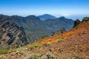 Excursion au nord de La Palma avec avec le Roque de los Muchachos
