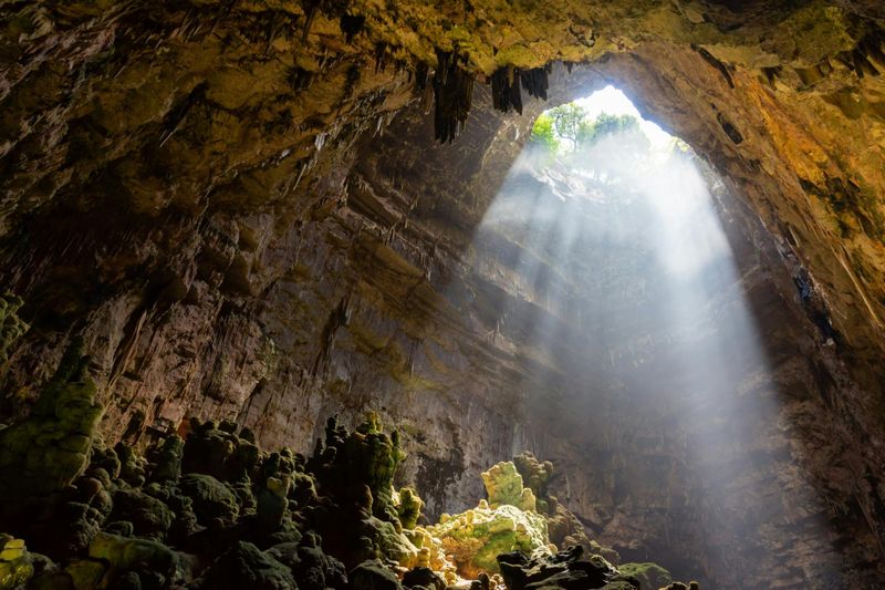 Excursion d'une journée à Alberobello, aux grottes de Castellana et à Polignano au départ de Bari