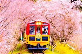 Excursion d'une journée à Kyoto Sanzen-in, Arashiyama et la Bambouseraie