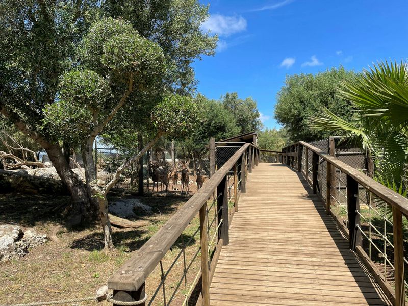 Billet pour le parc animalier Lloc de Menorca