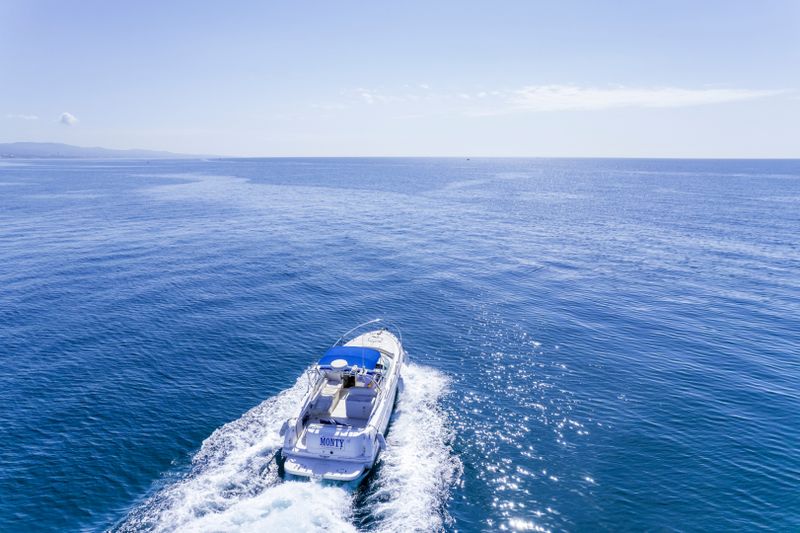 Location de bateau - Sea Ray Amberjack 290 (Motorboat)