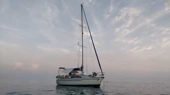 Location de bateau - Jeanneau Sun Light 30 (Sailboat)