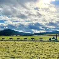Randonnée en Cani-Kart à Vassieux-en-Vercors