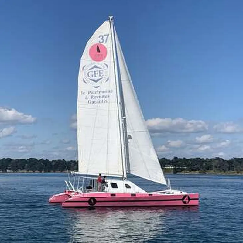 Promenade en Catamaran dans le Golfe du Morbihan