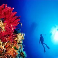 Baptême de Plongée à Port-Fréjus