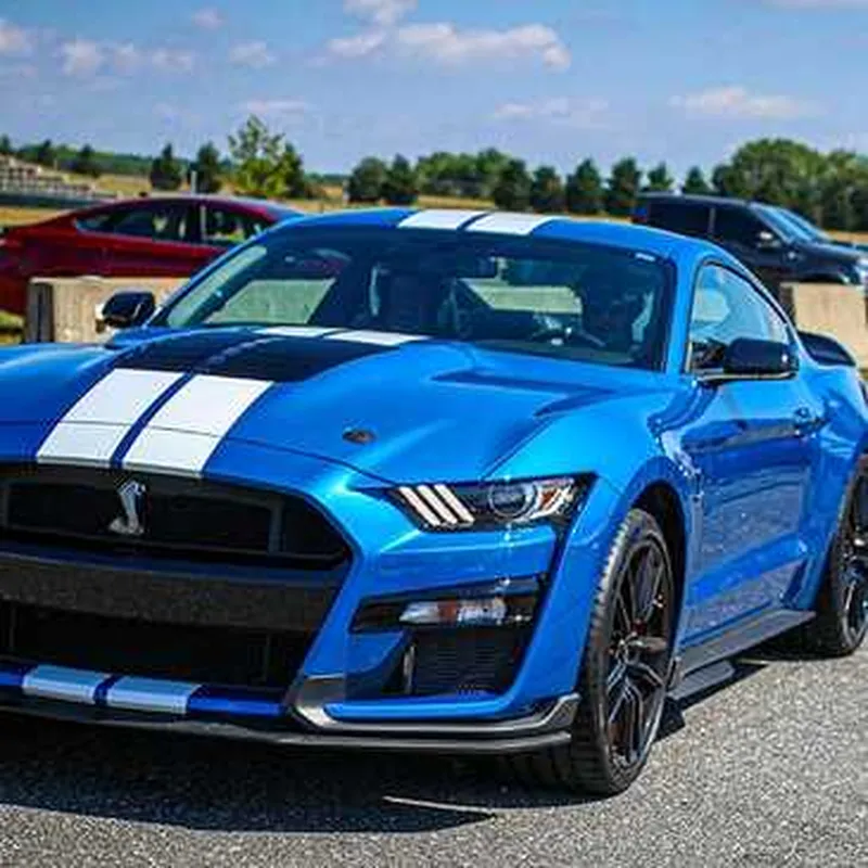 Stage en Ford Mustang Shelby GT500 - Circuit du Roussillon
