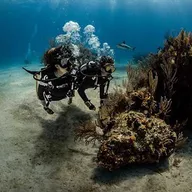 Baptême de plongée sous-marine près de Biarritz