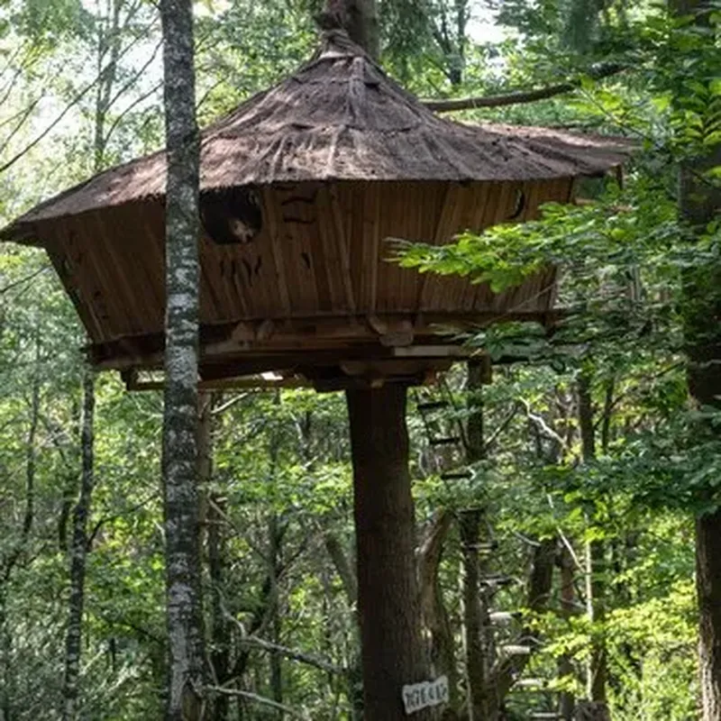 Cabane dans les arbres dans les Monts d'Ardèche