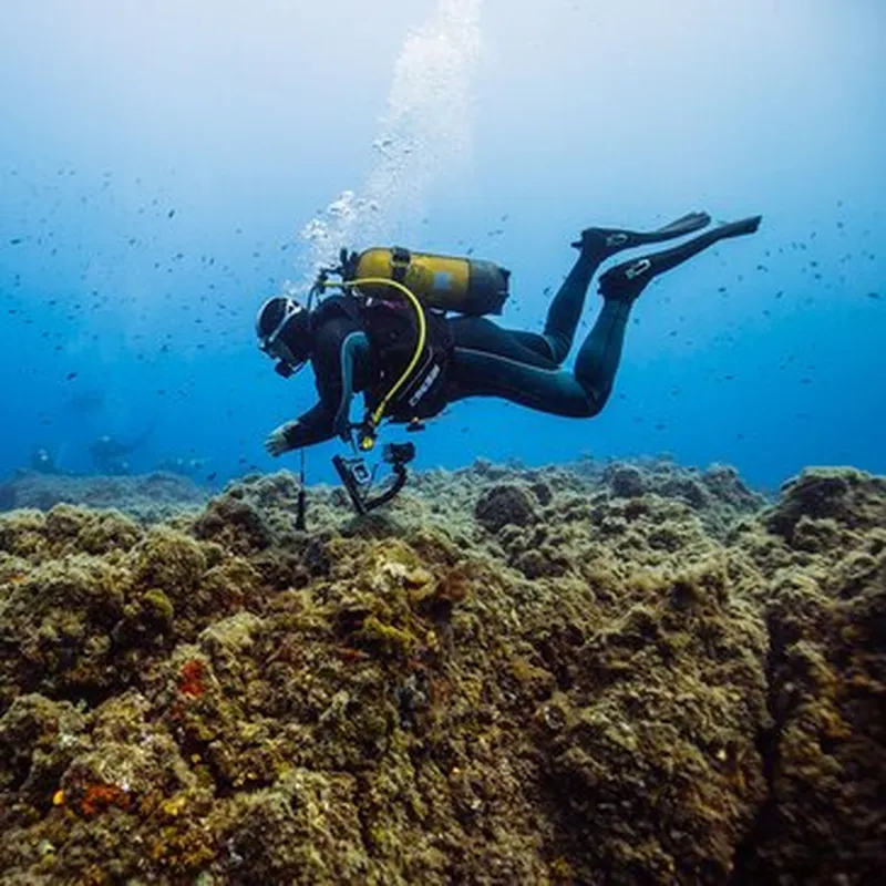 Baptême de Plongée à Villeneuve-Loubet