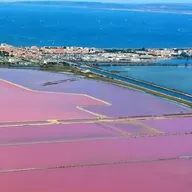 Baptême en ULM Multiaxe - Survol de la Camargue