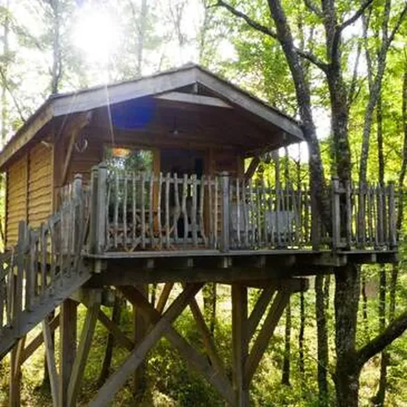 Nuit Insolite en Cabane Perchée près de Bergerac