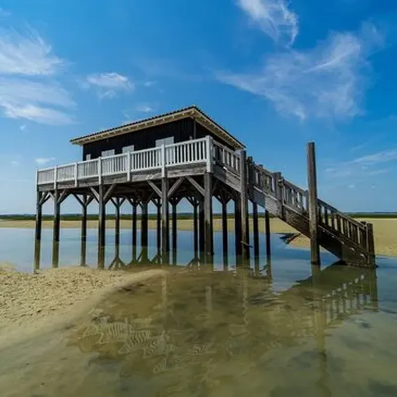 Baptême en Hélicoptère - Survol de l'Île aux Oiseaux